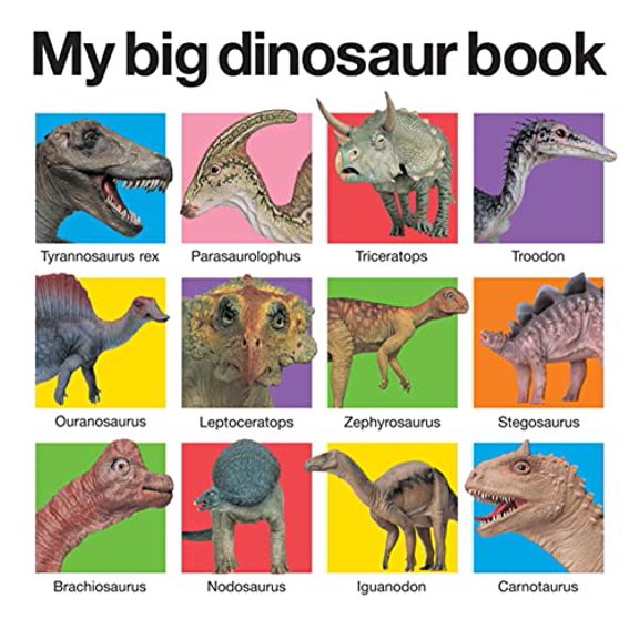 Pre-Owned My Big Dinosaur Book (My Big Board Books)