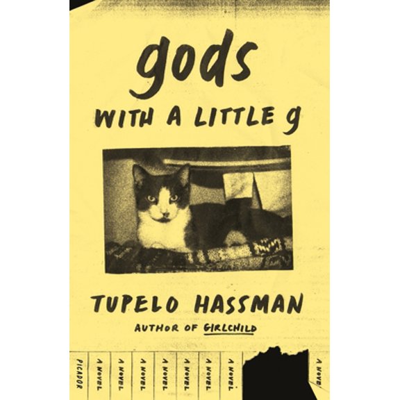 Pre-Owned Gods with a Little G (Paperback) 1250619629 9781250619624