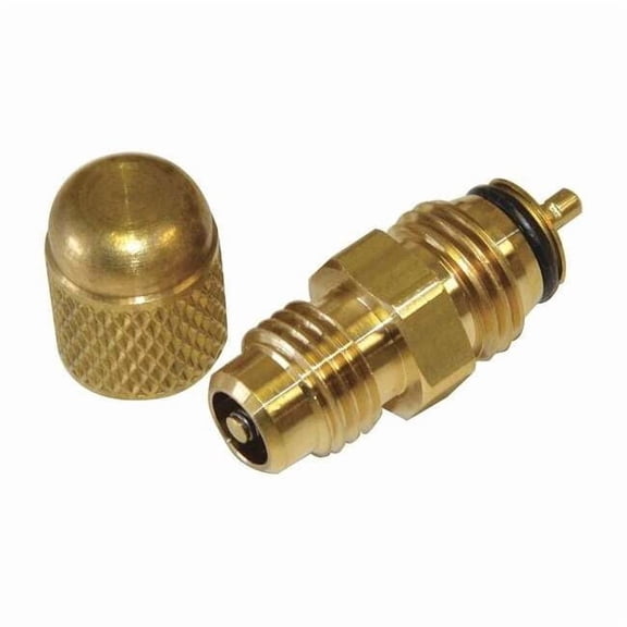 Jb Industries Valve Core,1/2" Connection Sz,PK10 CM-VC010