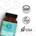 thumbnail image 3 of Plant-Based Collagen Protector Capsules with Vitamin C and Biotin, 3 of 7
