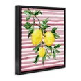 thumbnail image 3 of Stupell Industries Juicy Lemon Vine on Pink Black Framed Floater Canvas Wall Art design by Paul Brent, 25 x 25, 3 of 9