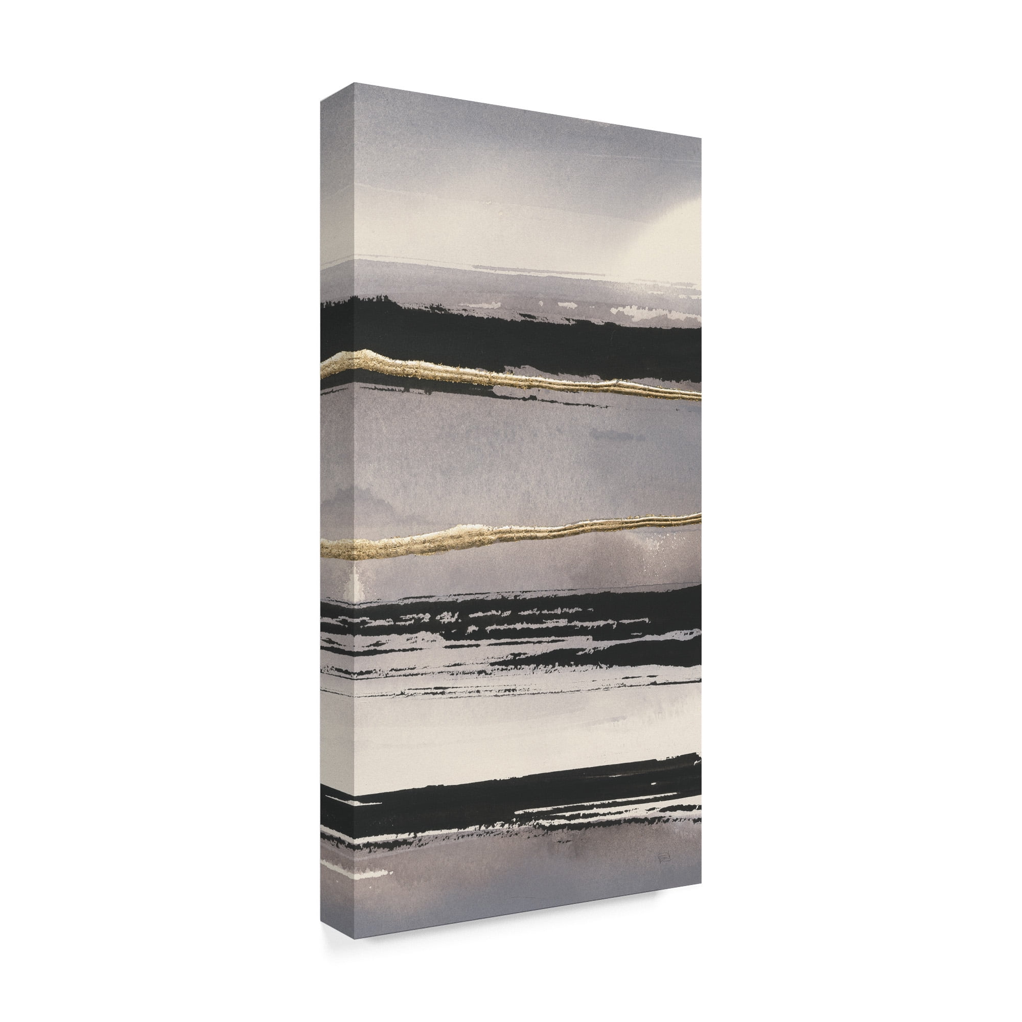 Trademark Fine Art 'Gilded Grey I Crop' Canvas Art by Chris Paschke