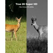 Reolink KEEN Cellular Trail 2K 4 Megapixels Solar Powered Game Camera with 360° Pan Tilt, Black