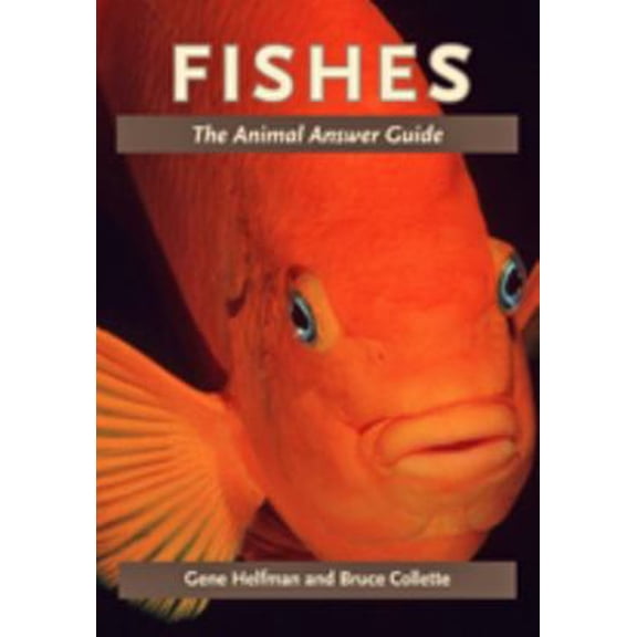 Pre-Owned Fishes: The Animal Answer Guide (Paperback) 1421402238 9781421402239
