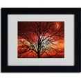thumbnail image 2 of Trademark Fine Art "Big Bad Moon" Canvas Art by Philippe Sainte-Laudy, Black Frame, 2 of 3