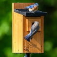 thumbnail image 2 of Nature's Way Cedar Bluebird House, Brown, 2 of 9