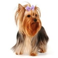 thumbnail image 4 of OHOIOLLA 20Ud Ligas Para De Mascotas Lazo Multicolor Resistentes Para Perros Y, 4 of 5