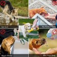 thumbnail image 4 of Pet Feeding Water-Yellow-300ML+Caja portátil+Cubo de comida para perros Ormromra WMZL-946-2, 4 of 7