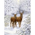 thumbnail image 1 of Two Deer Flag Garden Size, 1 of 1
