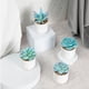 thumbnail image 5 of Naiovety 4 Uds. Maceta para amantes para decoración romántica del hogar-aspecto realista buena textura exquisita hecha a mano Decoración ES1438-11, 5 of 6