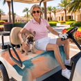 thumbnail image 3 of Golf Cart Seat Covers for 2 Seater,Blue Pink Ombre Microfiber Cart Seat Towel Blanket,Retro Chic Abstract Oil Painting Art Absorbent Breathable Non Slip Bench Seats Protector for Golf Course 51"x31", 3 of 9