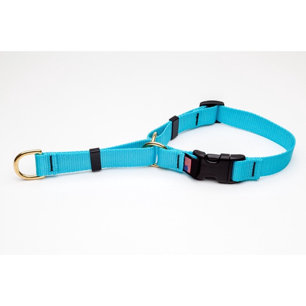 Martingale Dog Collar High Quality Adjustable Heavy Soft bing Brass