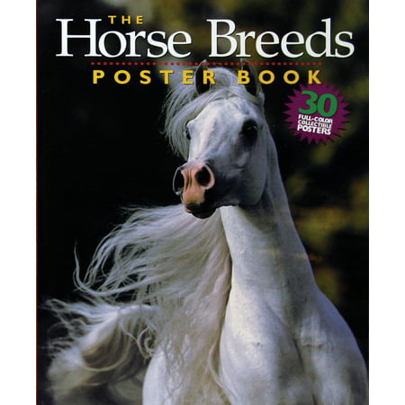 Horse Breeds Poster Book - Paperback (Best Breed Of Horse For First Time Owner)