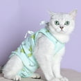 solautey Cat Clothes Professional Wound Prevention Antiinfection Cat