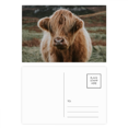 thumbnail image 1 of Animales salvajes terrestres organismo Buffalo Set cumpleaños gracias tarjeta postal correo lado 20pcs, 1 of 3