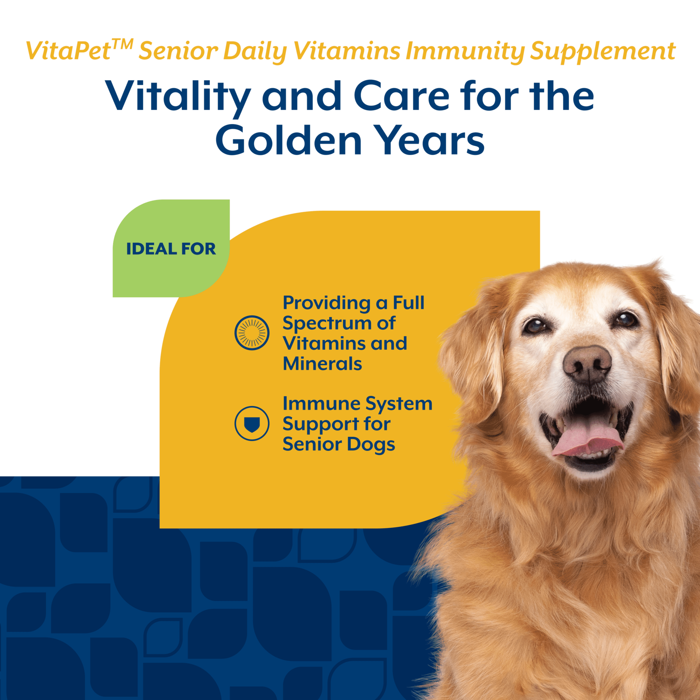 NaturVet VitaPet Senior Daily Vitamins Immunity Supplement for Dogs, Bacon and Chicken Flavor, 60 Count
