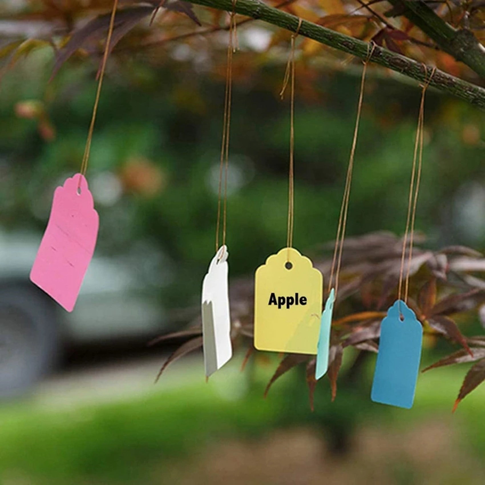 Plastic Garden Plant Markers Waterproof Tags with String Plastic