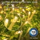 thumbnail image 2 of 100 Led Fairy Lights Battery Operated with Timer Warm White (8 Modes, 11M, IP65 Waterproof) Outdoor Lighting THD02, 1 Pack, 2 of 5