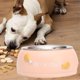 thumbnail image 3 of Cuenco de Perro de material acero Inoxidable con Base de Goma para Perros / Medianos / Grandes, Mascotas Alimentador Y Tazón de Agua, Elección Perfect - Rosado Salvador comedero para mascotas, 3 of 9