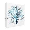 thumbnail image 2 of Trademark Fine Art 'Fan de la Mer II' Canvas Art by Grace Popp, 2 of 4