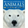 Image thumbnail_image
