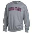 thumbnail image 2 of Men's ComfortWash Gray Florida Atlantic Owls Garment Dyed Pullover Sweatshirt, 2 of 3