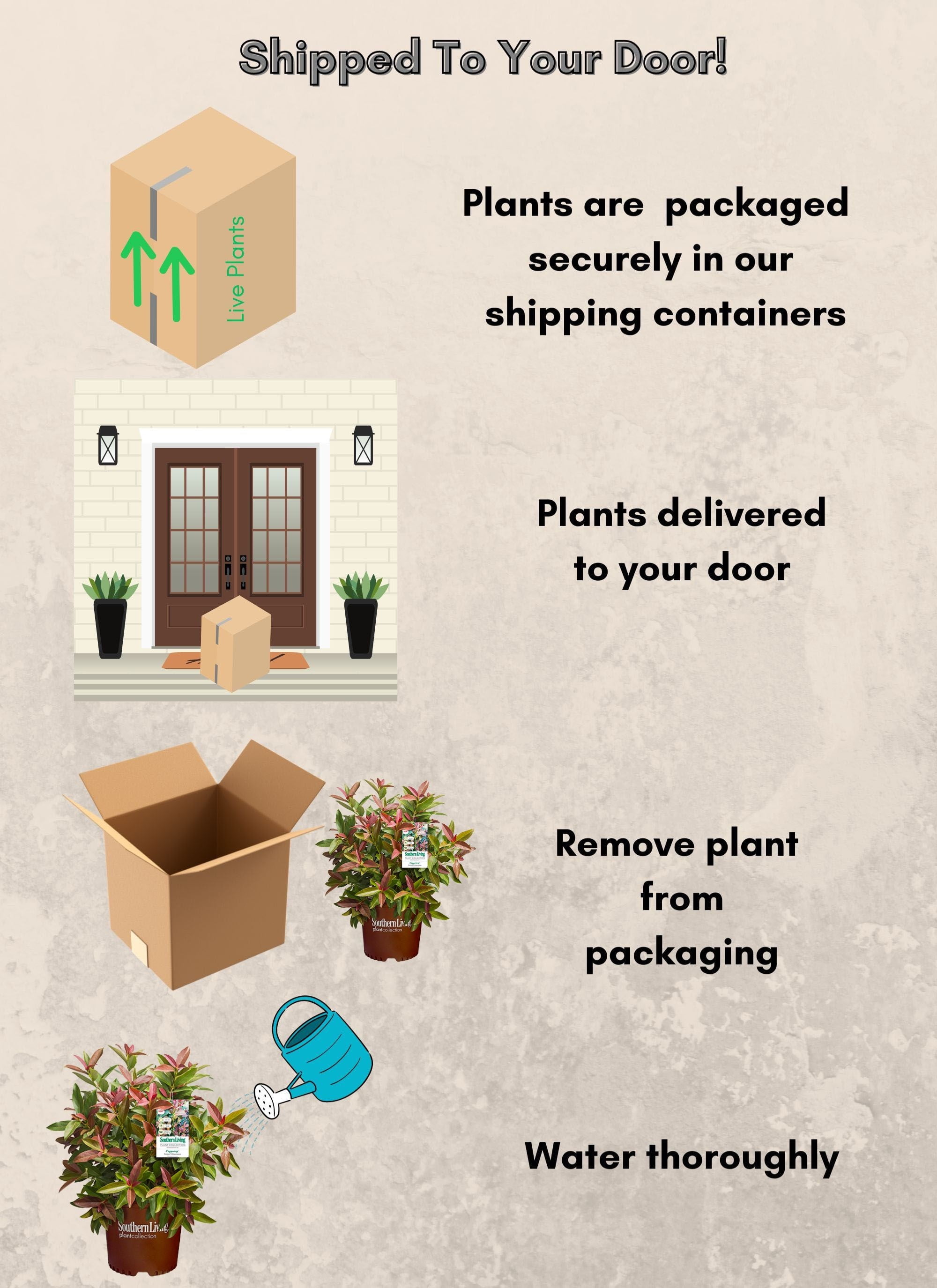 Southern Living Viburnum Copper Top Live Shrub in 2-Gallon Grower Pot