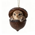 thumbnail image 2 of Forest Animal Acorn Ornaments 2026, Sleeping Owl in Acorn Shell Ornament 2026 – 3D Resin Hanging Decor for Christmas Tree, Woodland Wildlife Gift, 2 of 7