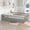 Grey+Pine+American Design+Artsy, variant on HMYG Twin Wood Floor Bed with High Security Barrier and Door, White