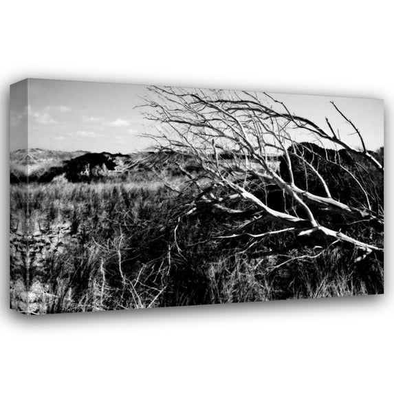 Alan Hausenflock 18x13 Gallery Wrapped Canvas Wall Art Titled - Bear Island II