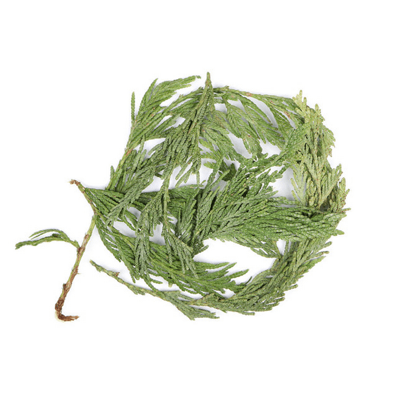 NY SPICE SHOP Cedar Leaf Whole - 02 Ounce