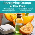 thumbnail image 4 of Vaporizadores de ducha IQNATURAL Citrus Tea Tree 14 comprimidos, 4 of 8
