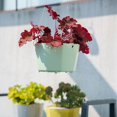 thumbnail image 2 of Plastic Self-absorbent Hanging Basket Hanging Flowerpot, 2 of 17