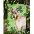 thumbnail image 3 of Carolines Treasures BB9854GF Thai Ridgeback St.Patricks Flag - Garden Size, 3 of 3