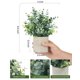 thumbnail image 2 of Velener Plantas artificiales de eucalipto, 2 piezas, decoración para interiores, 2 of 8