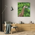thumbnail image 3 of Dana Underdahl 36x44 Gallery Wrapped Canvas Wall Art Titled - Giraffe II, 3 of 4