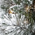 thumbnail image 2 of Puleo International 6.5 Ft Prelit Pencil Portland Pine Christmas Tree, 2 of 2