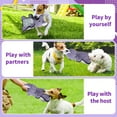 thumbnail image 6 of Raccoon Squeaky Dog Toys,Plush+TPR Rubber,Cleanning Teeth Dog Chew Toys for Small Medium Large Dogs,Tug-of-war Dog Toy，Koala, 6 of 7