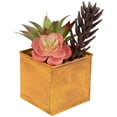 thumbnail image 4 of Northlight Artificial Potted Mixed Succulent Arrangement - 7", 4 of 6