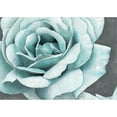 thumbnail image 3 of Cusson, Marie-Elaine 18x14 Black Modern Framed Museum Art Print Titled - Rose Bloom, 3 of 5