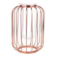 thumbnail image 2 of Lantern Shaped Glass Iron Vase, Simple Design Clear Transparent Test Tube Hydroponic Terrarium for Plants, with Wrought Iron Frame for Home Office Decor, 2 of 7