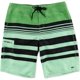 thumbnail image 1 of O'Neill Mens Calypso Swim Bottom Board Shorts, Verde, 42 O'Neill Pantalones cortos, 1 of 1