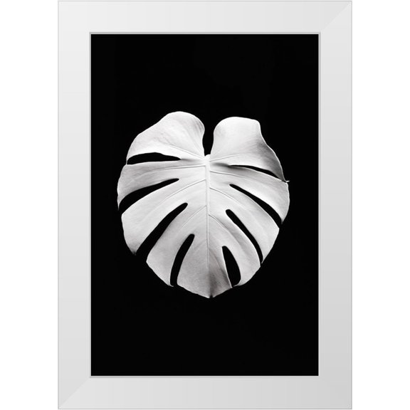 Artographie Studio 11x14 White Modern Wood Framed Museum Art Print Titled - Monstera White 04