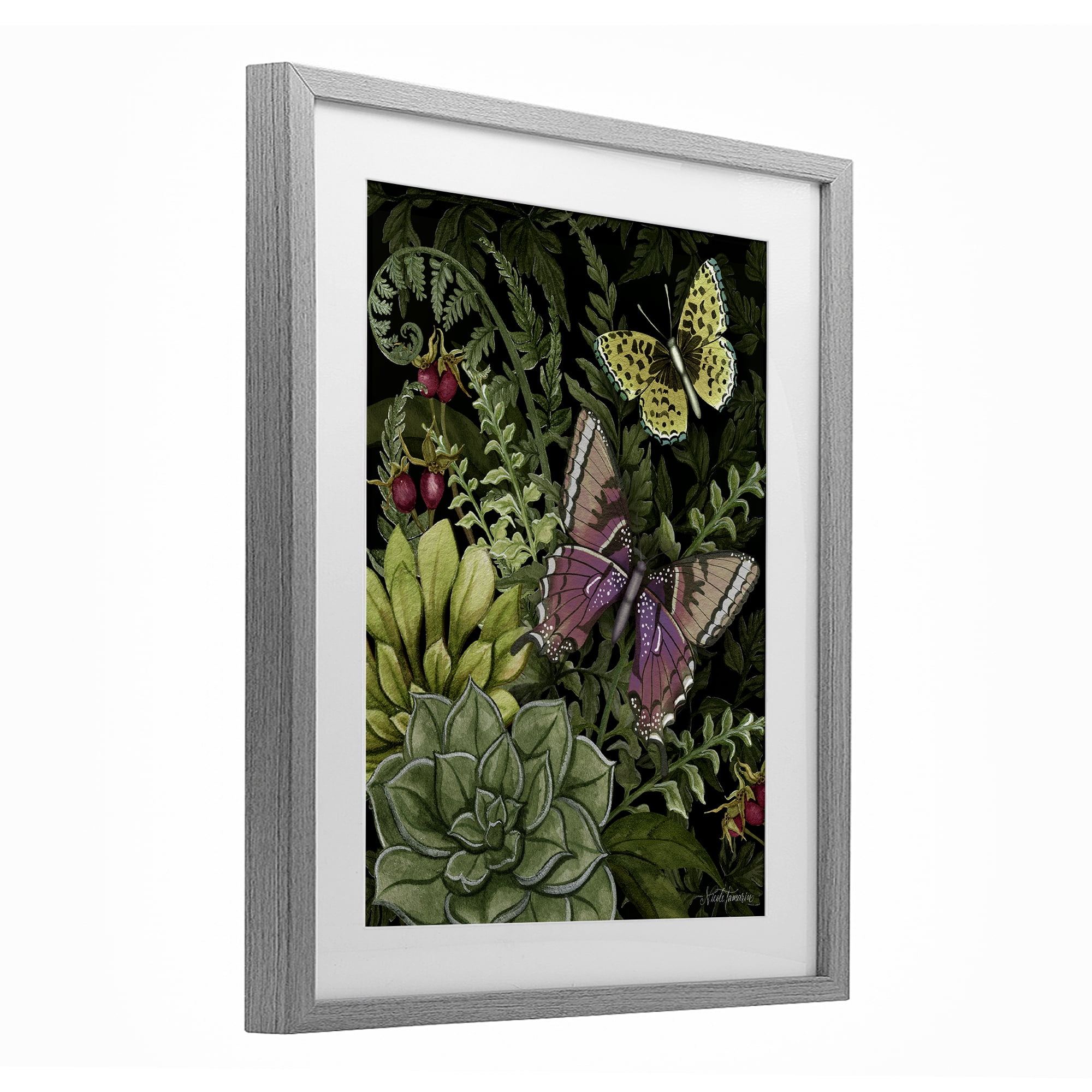 Stupell Industries Dark Succulents Midnight Garden Gray Framed Print Under Glass, design by Nicole Tamarin