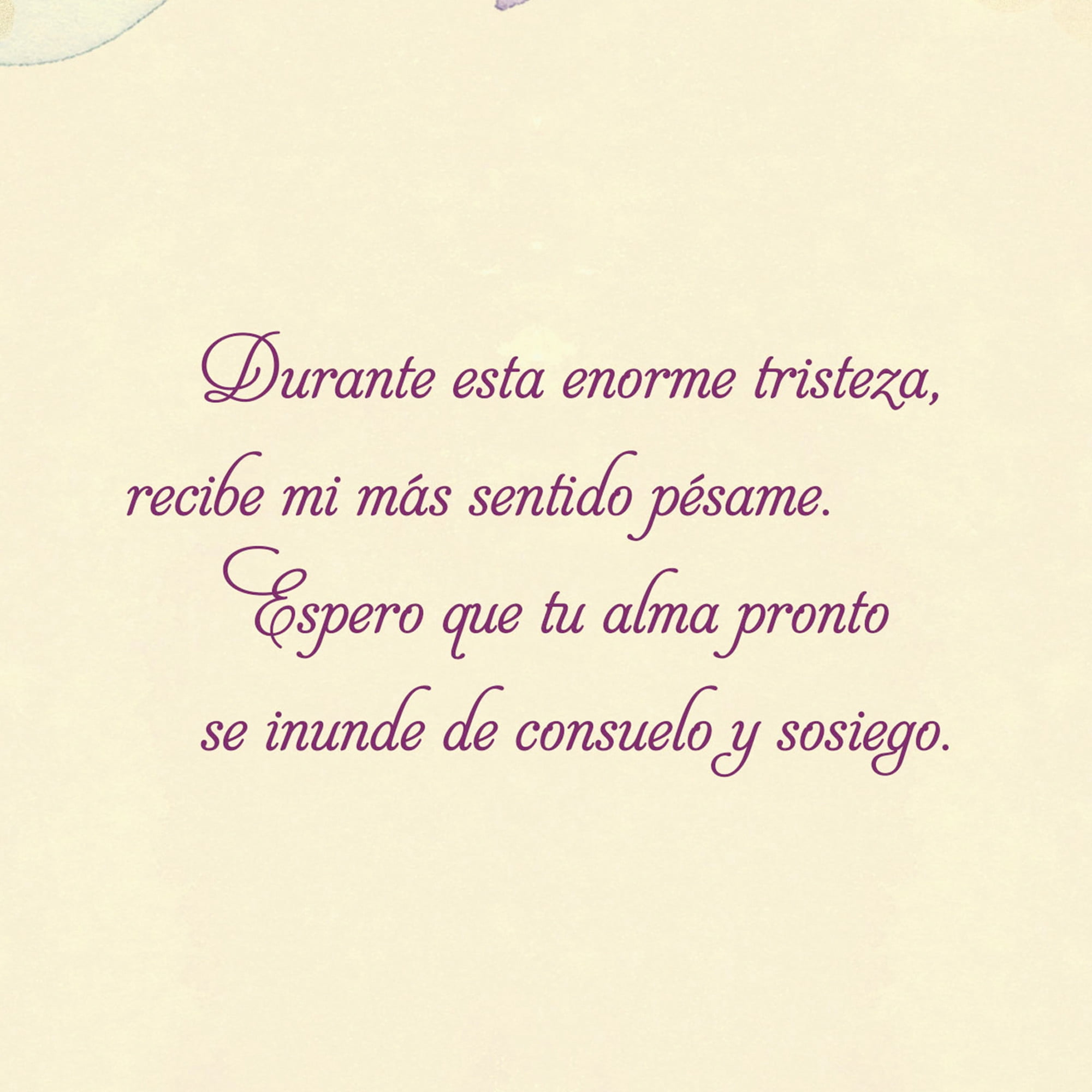 Hallmark VIDA Spanish-Language Sympathy Card (It Always Hurts to Say Goodbye)