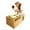 Brown, variant on Wovilon Piggy Bank Cute Dogs Steals Coins Like Magic Coin Munching Toy Money Box