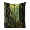 thumbnail image 1 of Nature Soft Flannel Fleece Blanket, Deep down in Forest with Sunbeams Reflections on Moss Tree Bodies Scenery, Cozy Plush for Indoor and Outdoor Use, 70" x 90", Olive and Army Green, by Ambesonne, 1 of 6