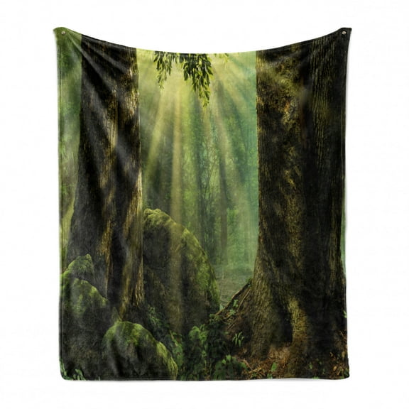 Nature Soft Flannel Fleece Blanket, Deep down in Forest with Sunbeams Reflections on Moss Tree Bodies Scenery, Cozy Plush for Indoor and Outdoor Use, 70" x 90", Olive and Army Green, by Ambesonne