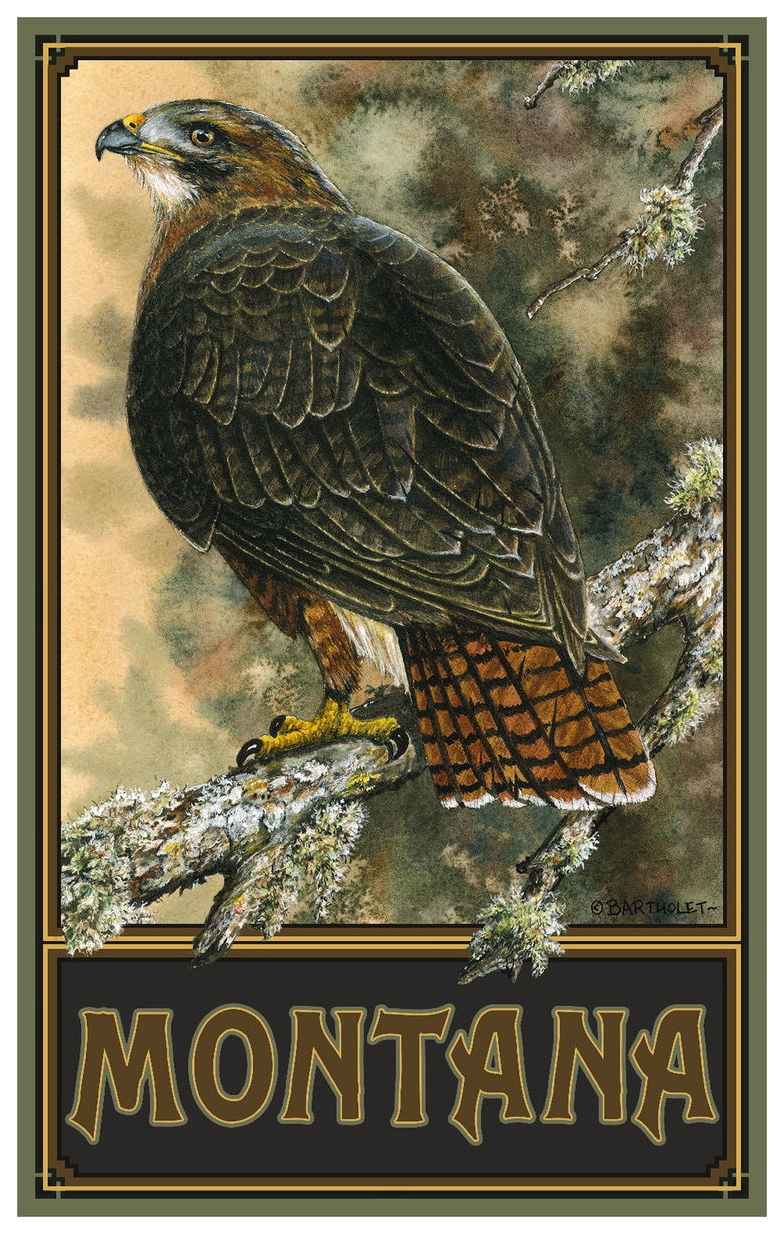 Download Red Tail Hawk Montana Giclee Art Print Poster by Dave ...