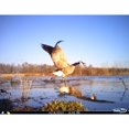 Cuddeback Model E2 Long Range IR Infrared Micro Trail 20MP Game Hunting